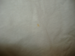 1580501217578.png 1580501217578.png
