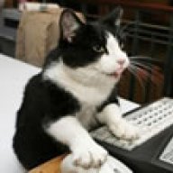 devCat