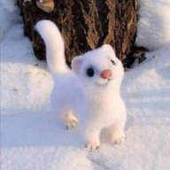 Mamawolf