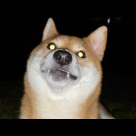 barking-snake
