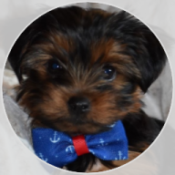 pixel