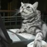cod3zkitteh