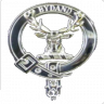 Rumpl345kin