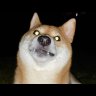 barking-snake