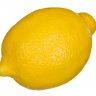 [Lemons] Druid - Level 110 General Use