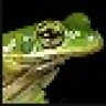 CroakWatch